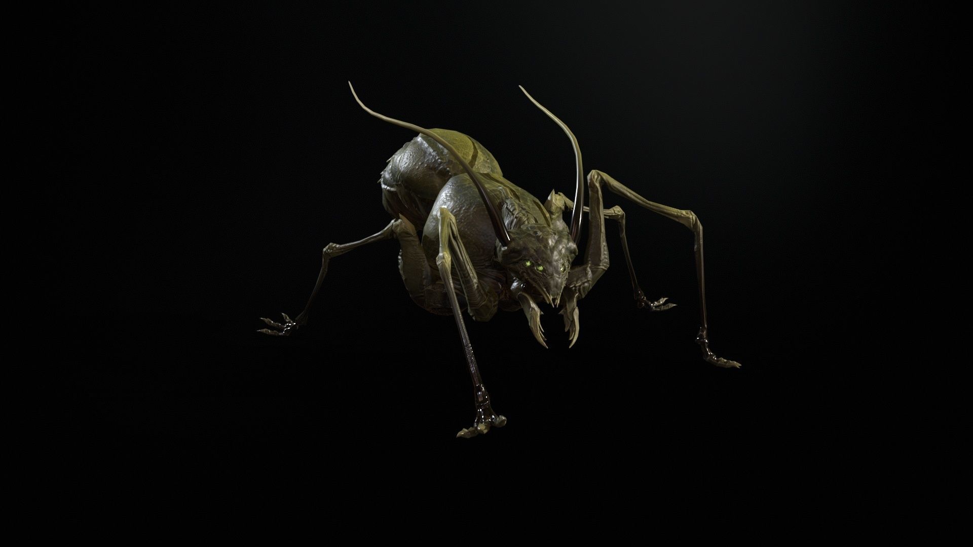 Cockroach1 Low-poly 3D model_21