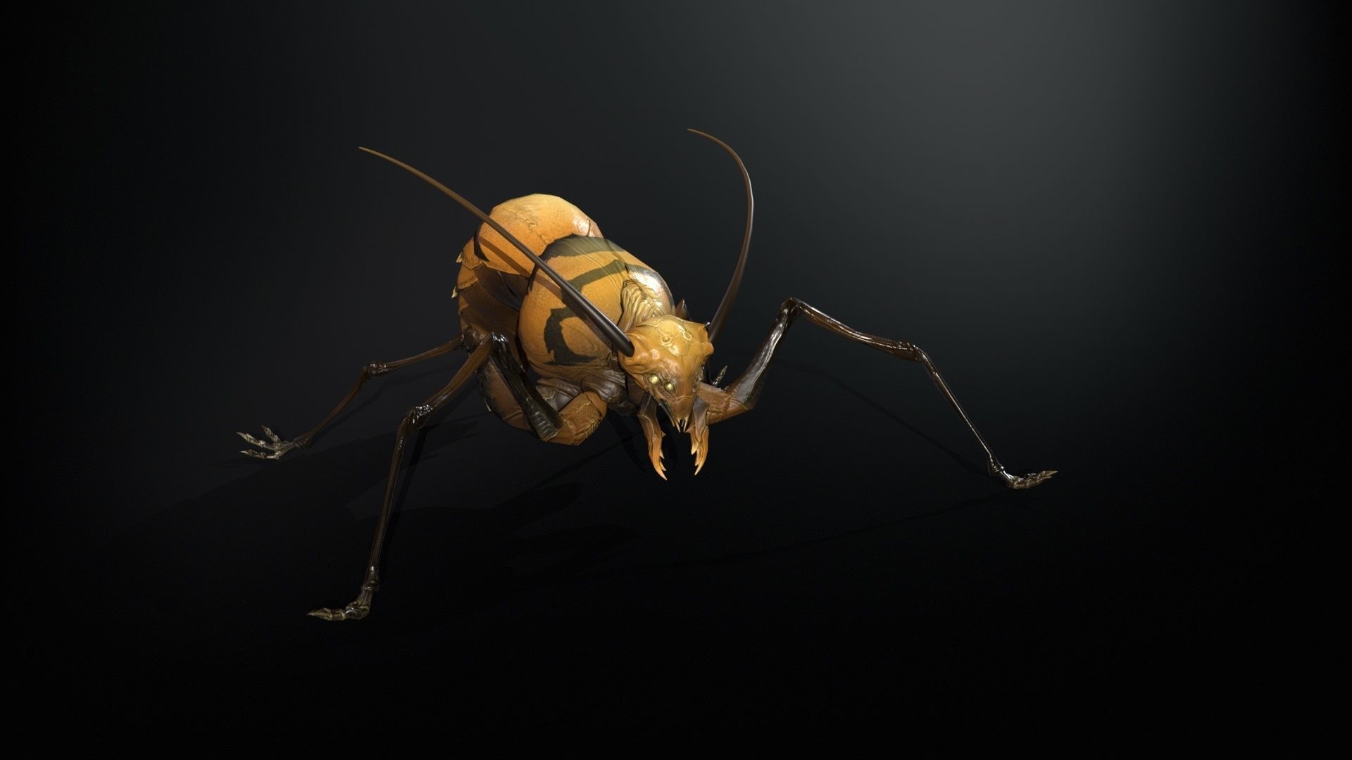 Cockroach1 Low-poly 3D model_6
