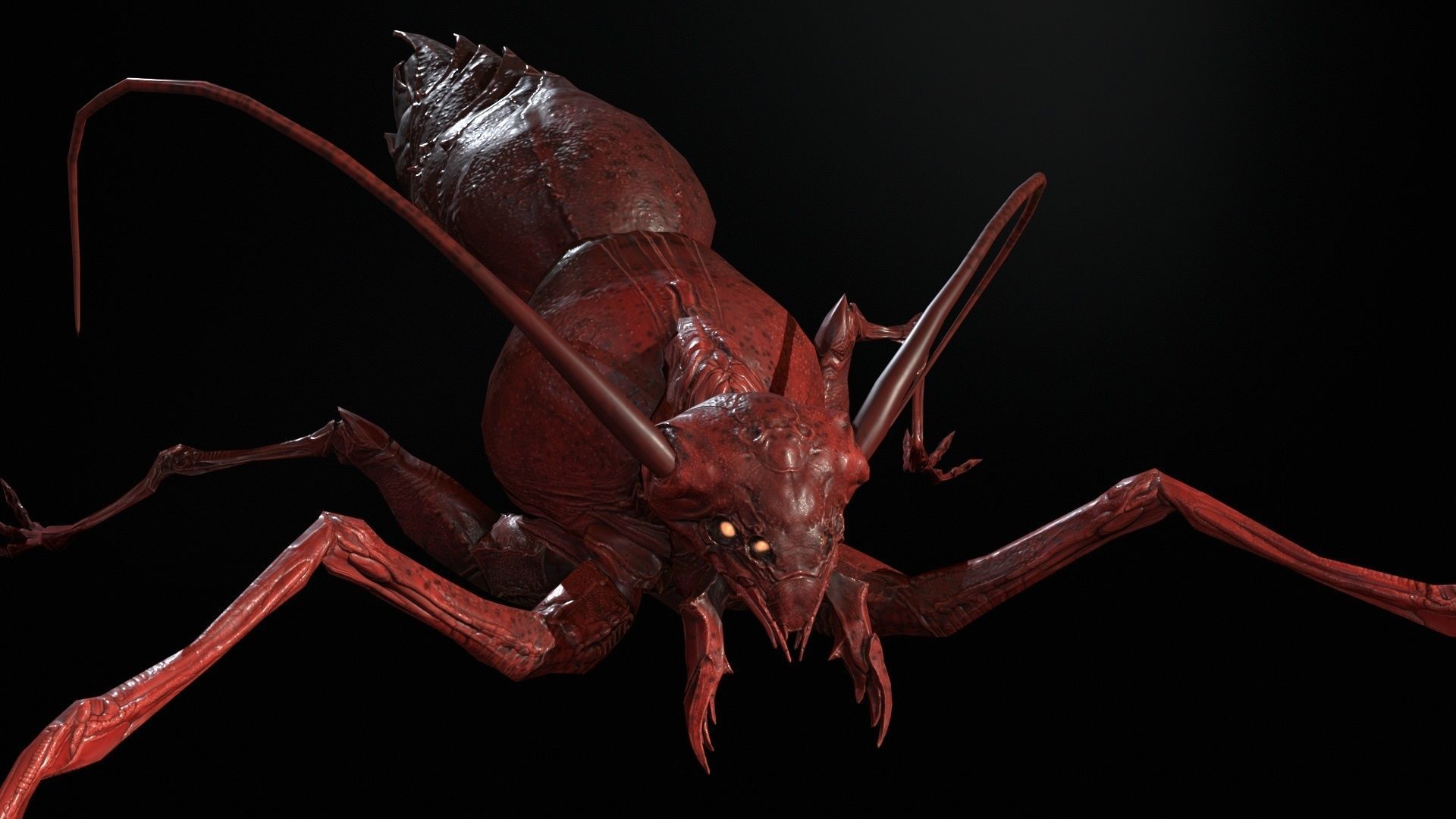 Cockroach1 Low-poly 3D model_23