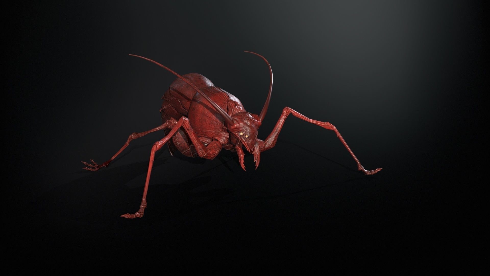 Cockroach1 Low-poly 3D model_8