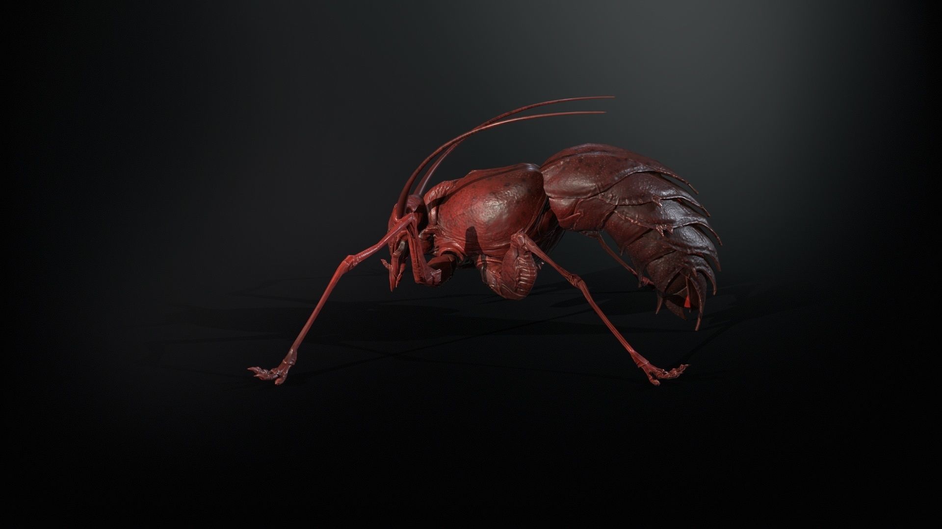 Cockroach1 Low-poly 3D model_9