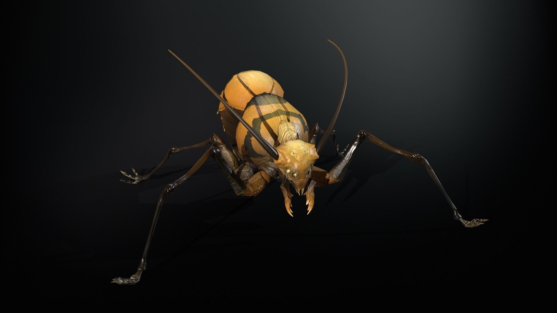 Cockroach1 Low-poly 3D model_12