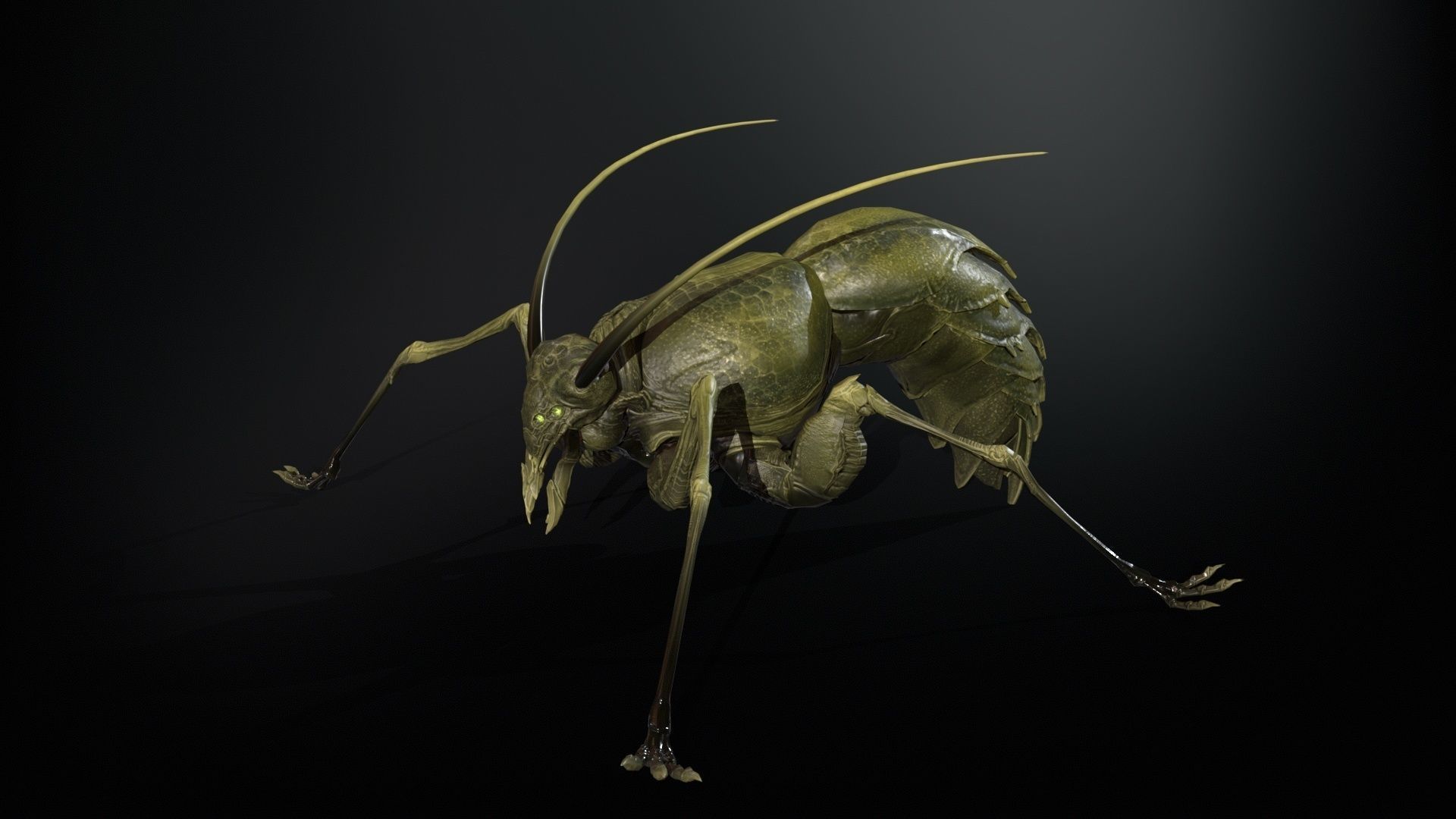 Cockroach1 Low-poly 3D model_14