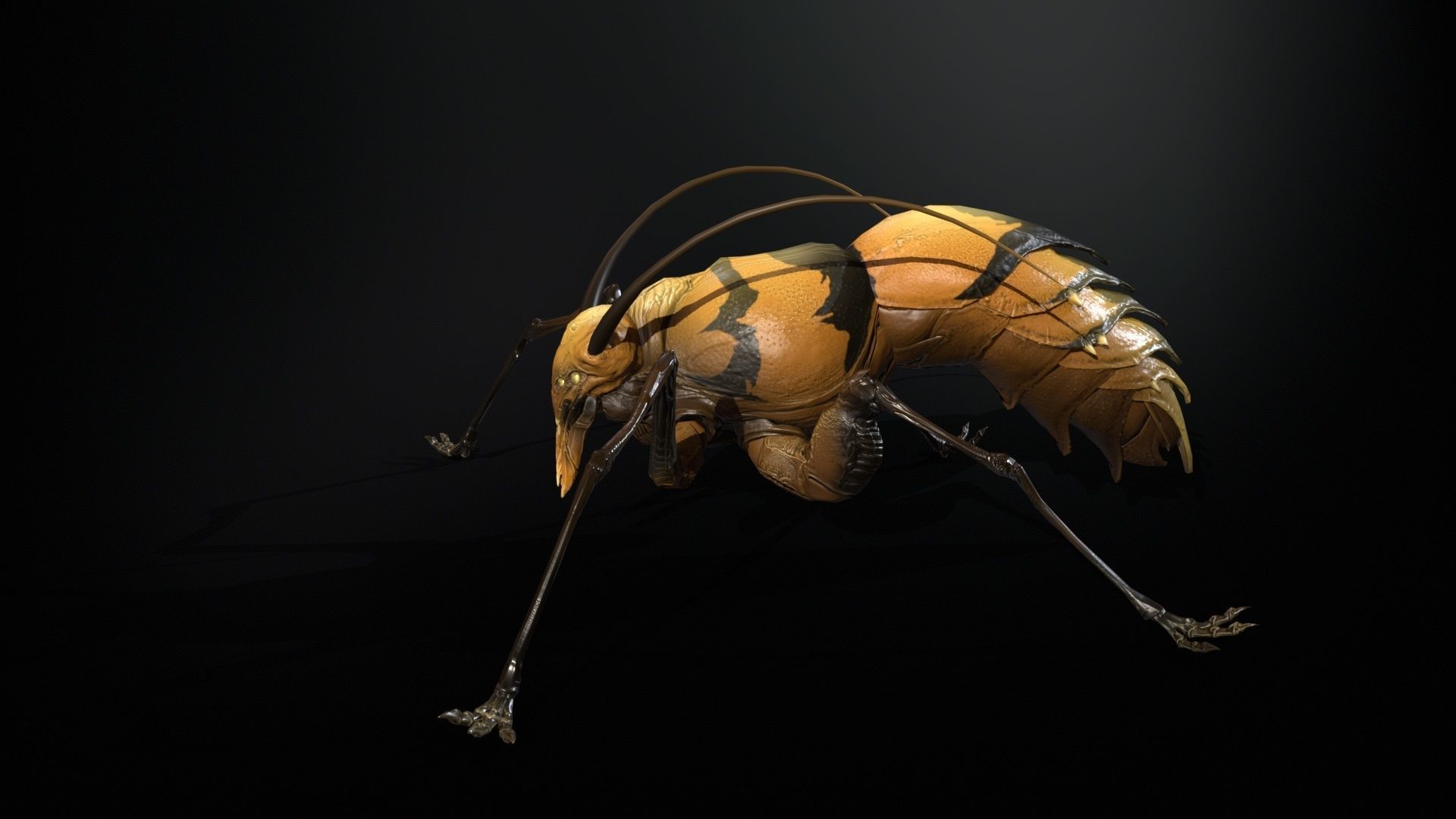 Cockroach1 Low-poly 3D model_20