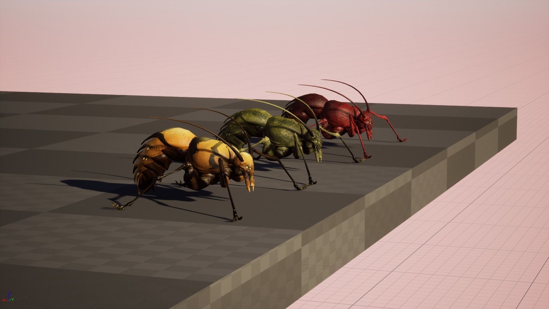 Cockroach1 Low-poly 3D model_29