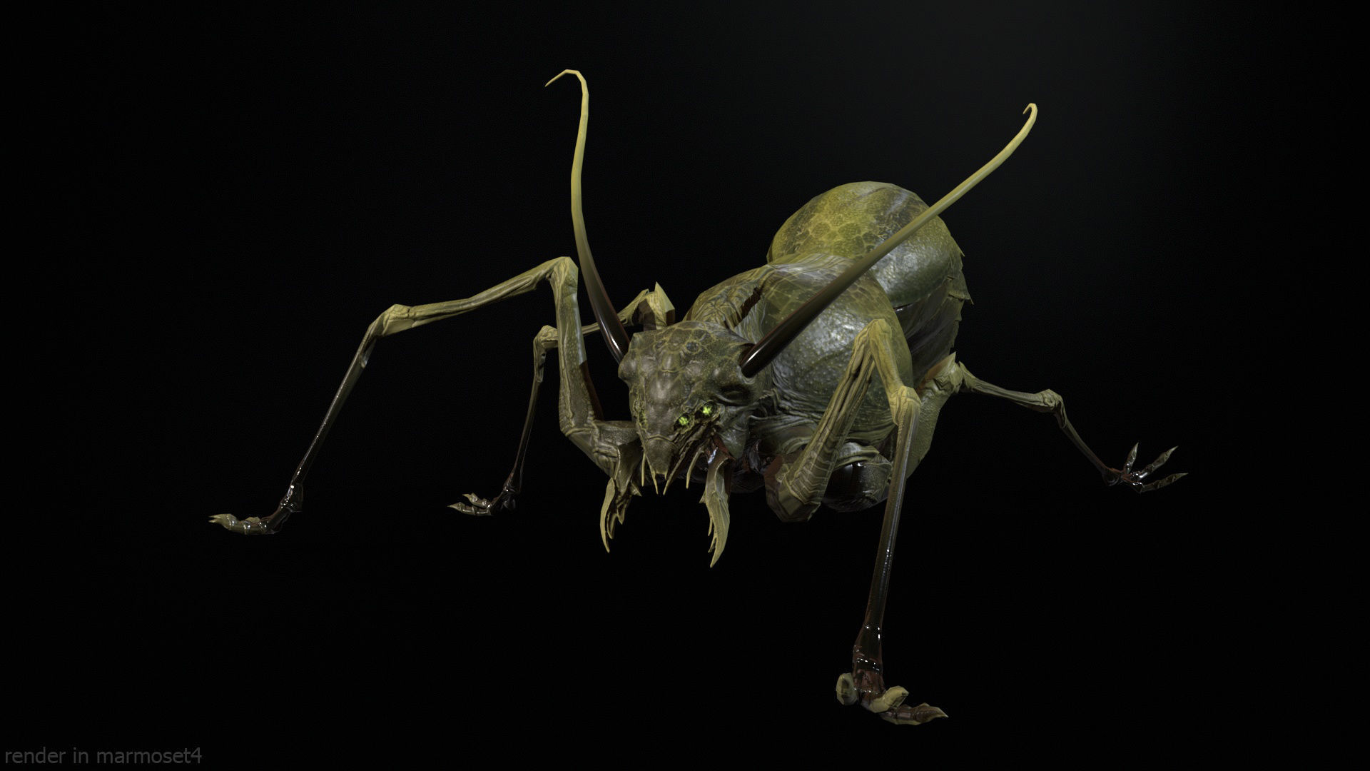 Cockroach1 Low-poly 3D model_2