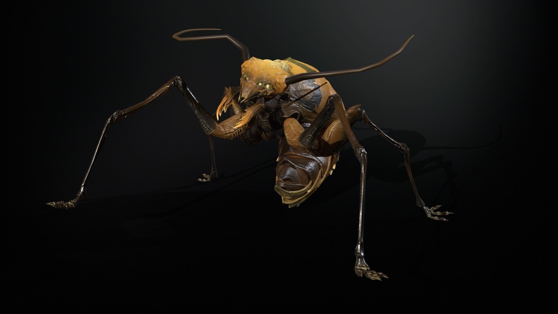 Cockroach1 Low-poly 3D model_18