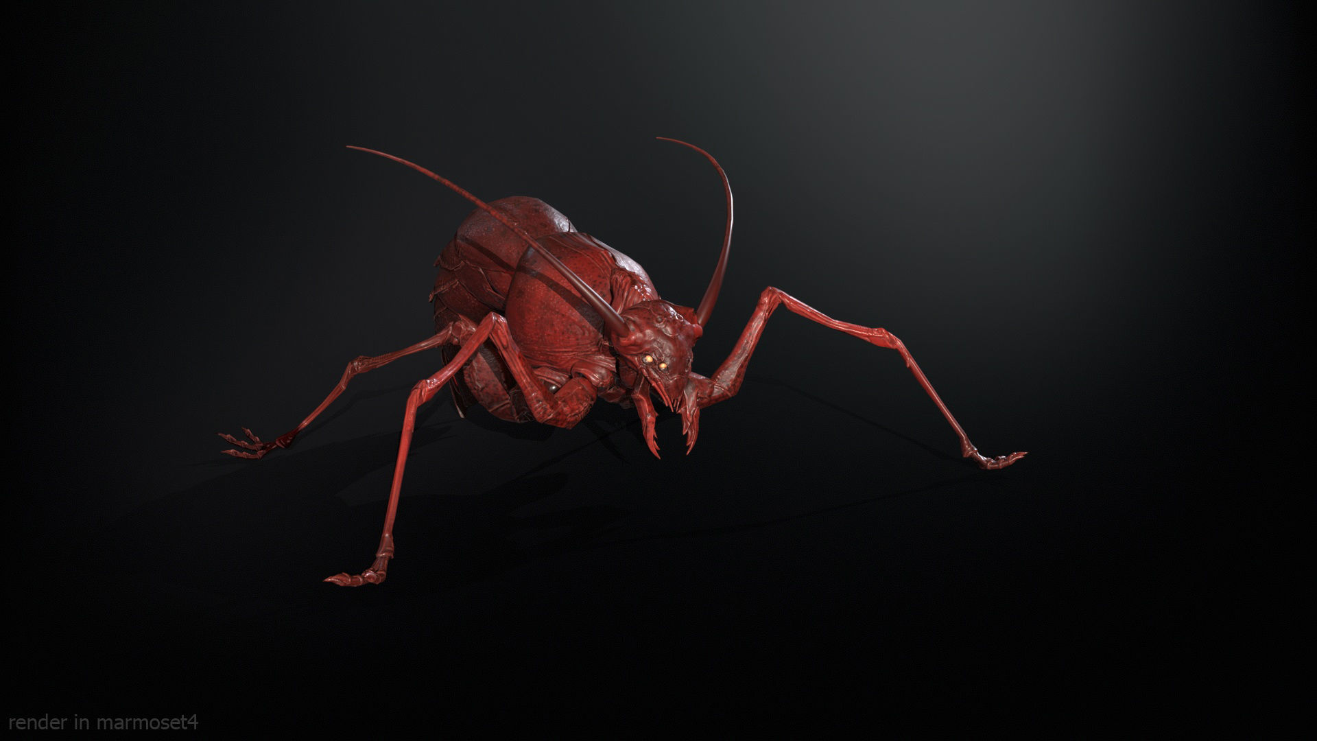 Cockroach1 Low-poly 3D model_4