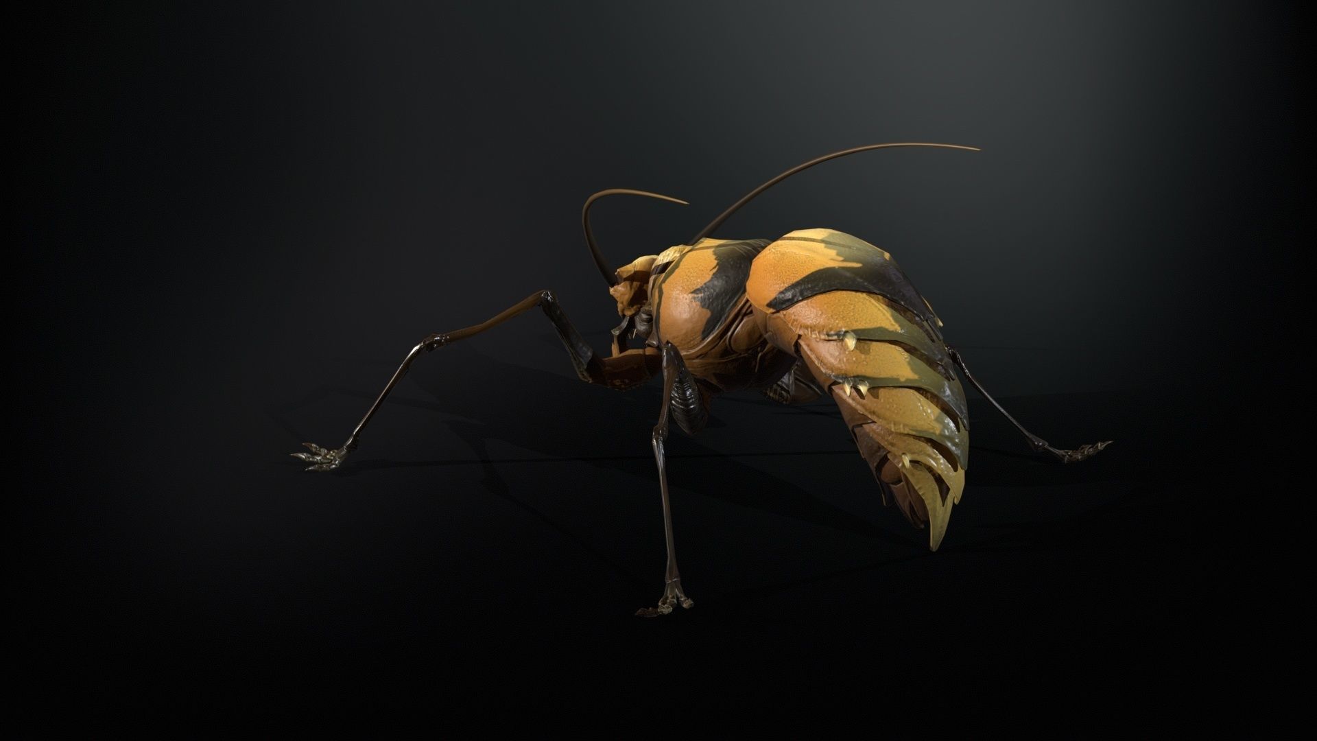 Cockroach1 Low-poly 3D model_7