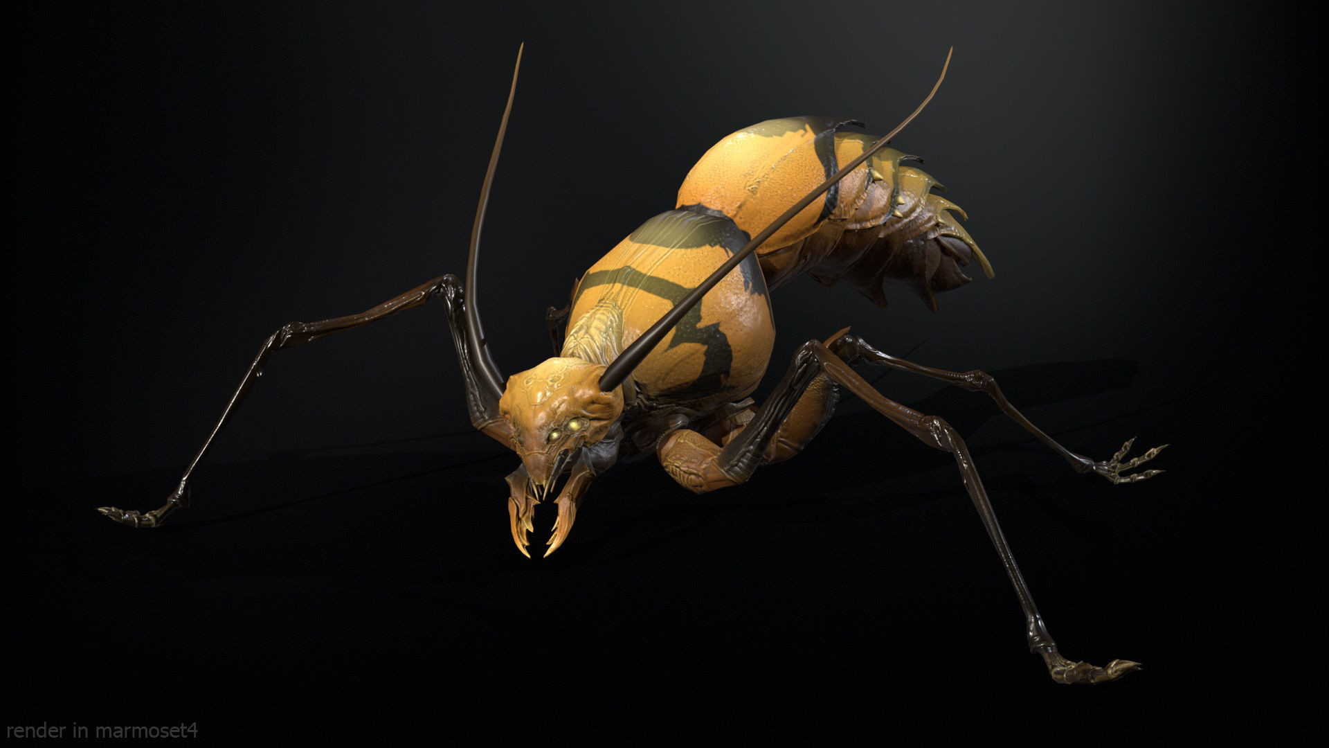 Cockroach1 Low-poly 3D model_5