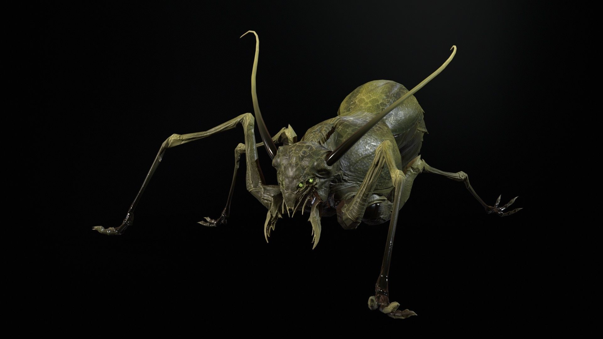 Cockroach1 Low-poly 3D model_22