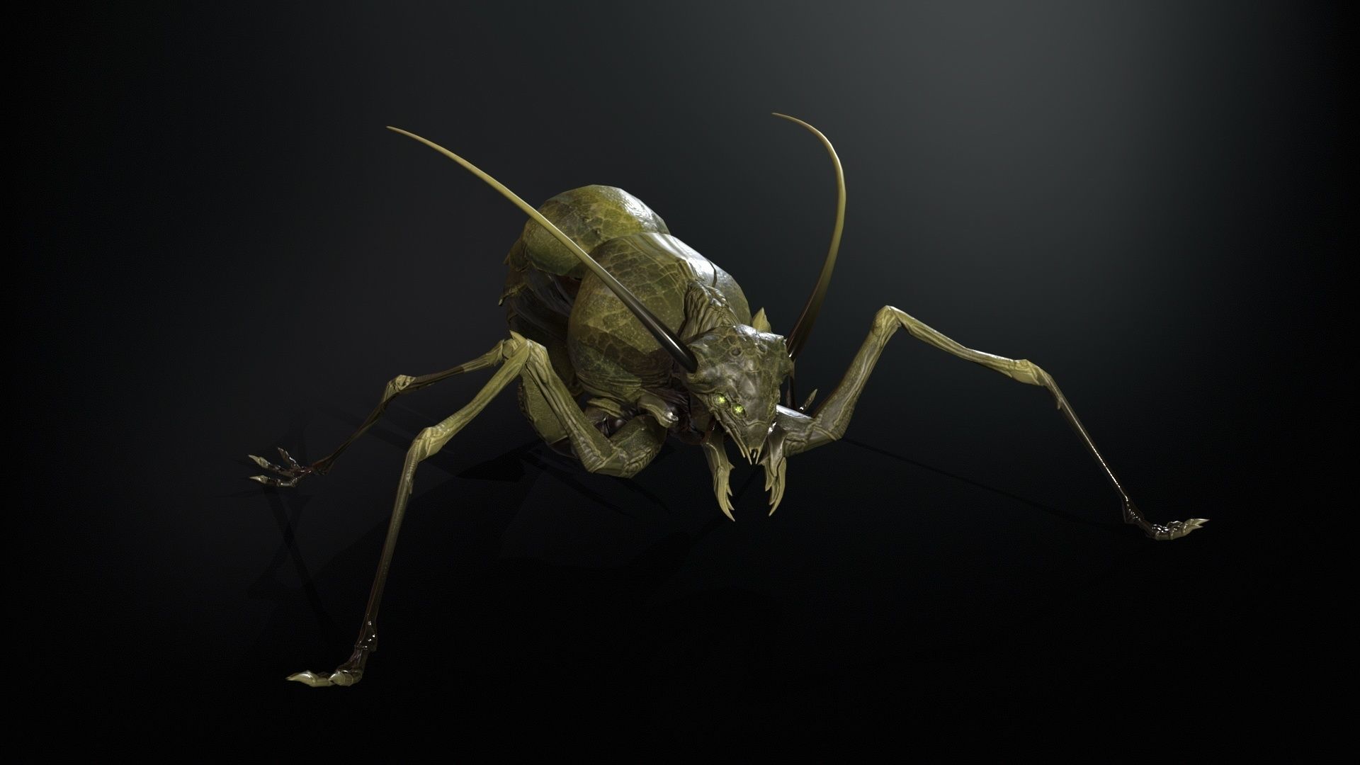Cockroach1 Low-poly 3D model_13