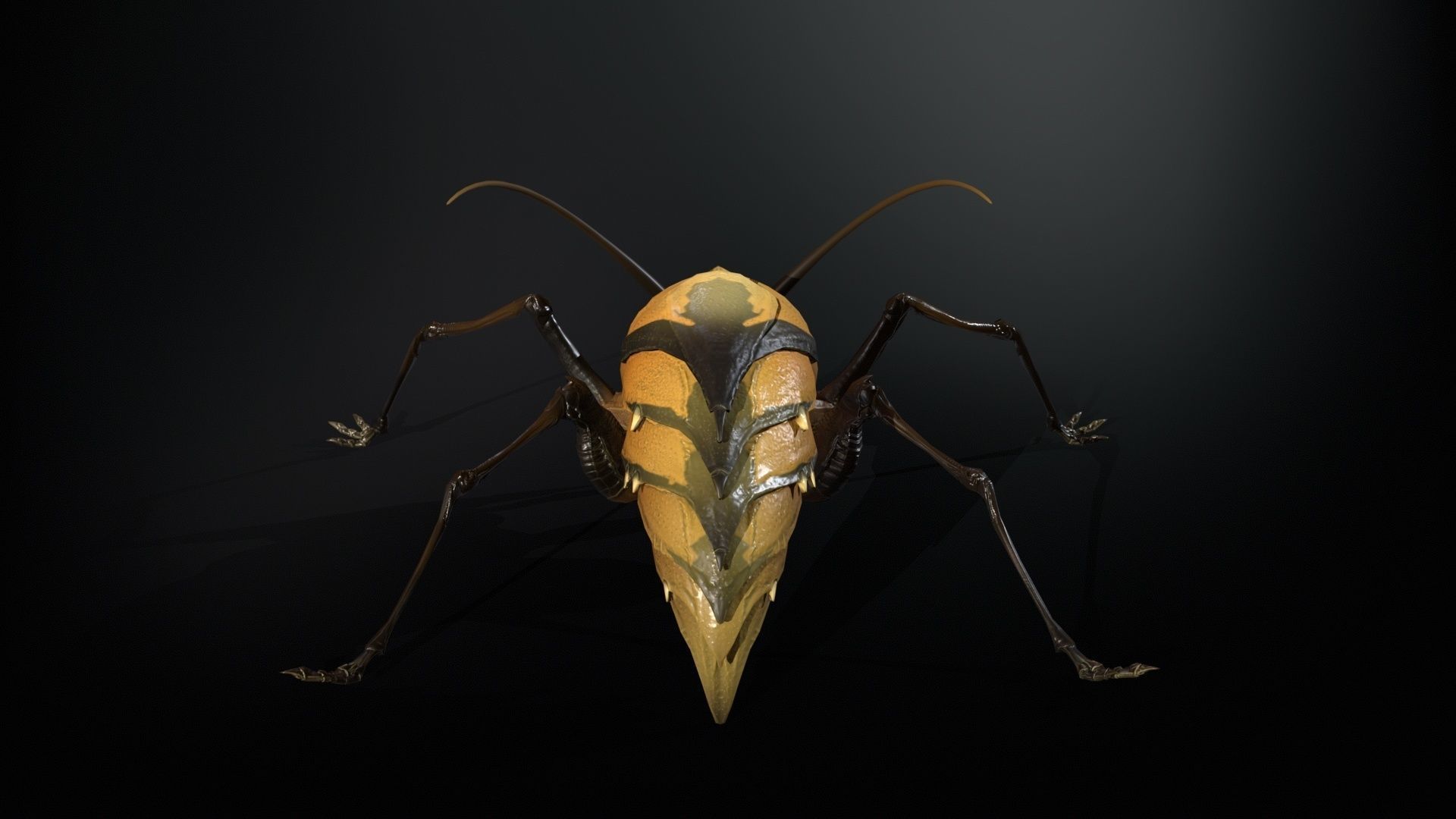 Cockroach1 Low-poly 3D model_11