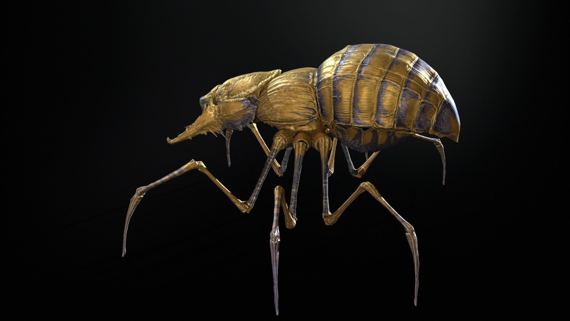 Scorobey Low-poly 3D model_9