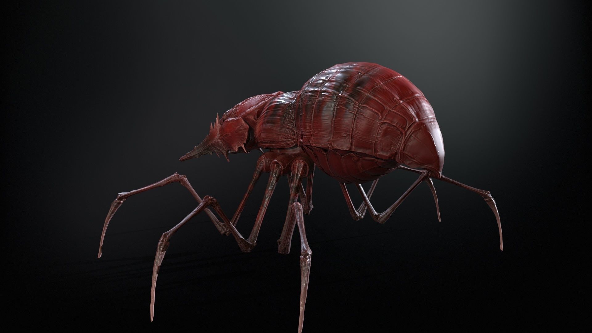 Scorobey Low-poly 3D model_23