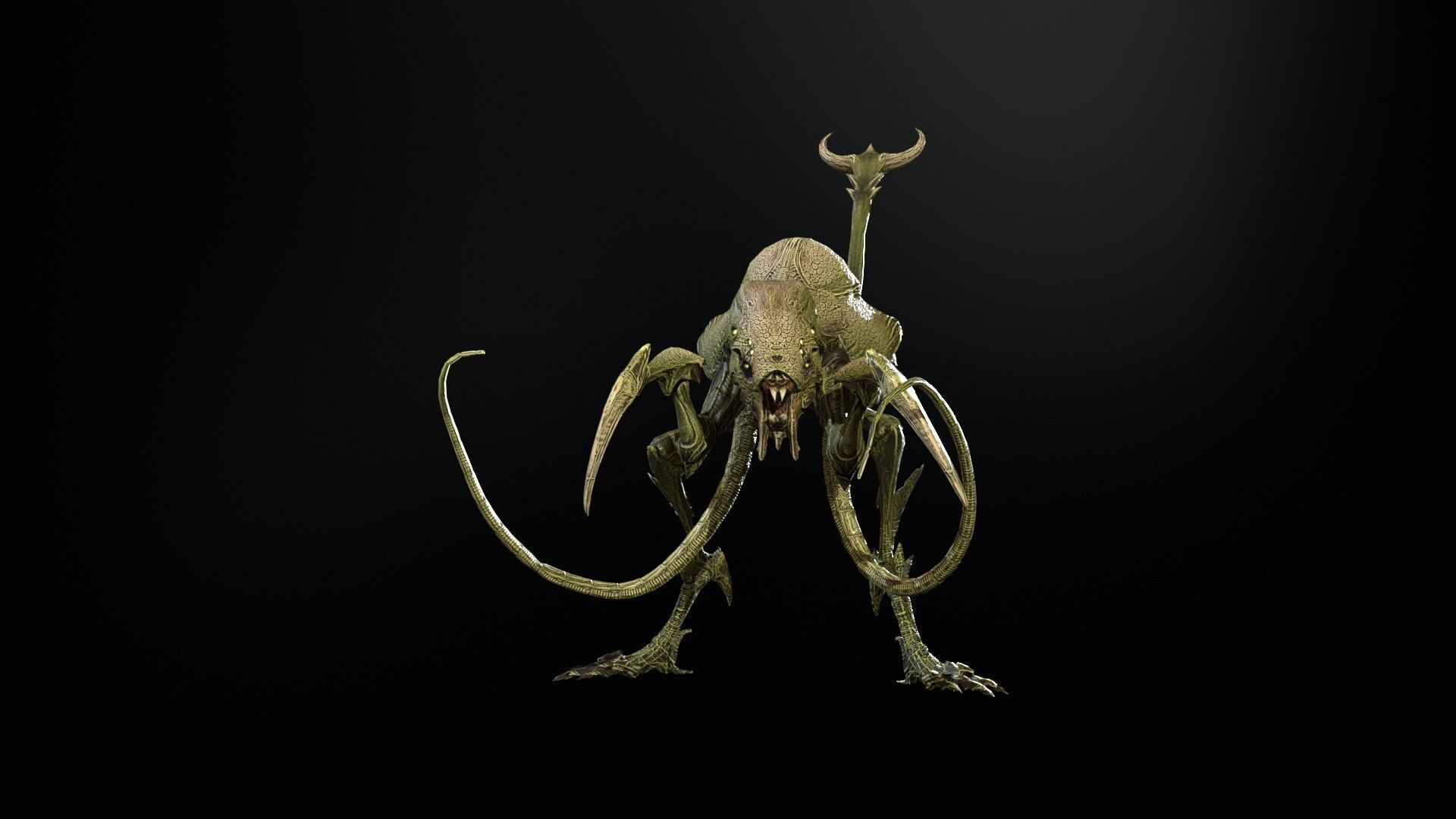 Raptor Low-poly 3D model_19