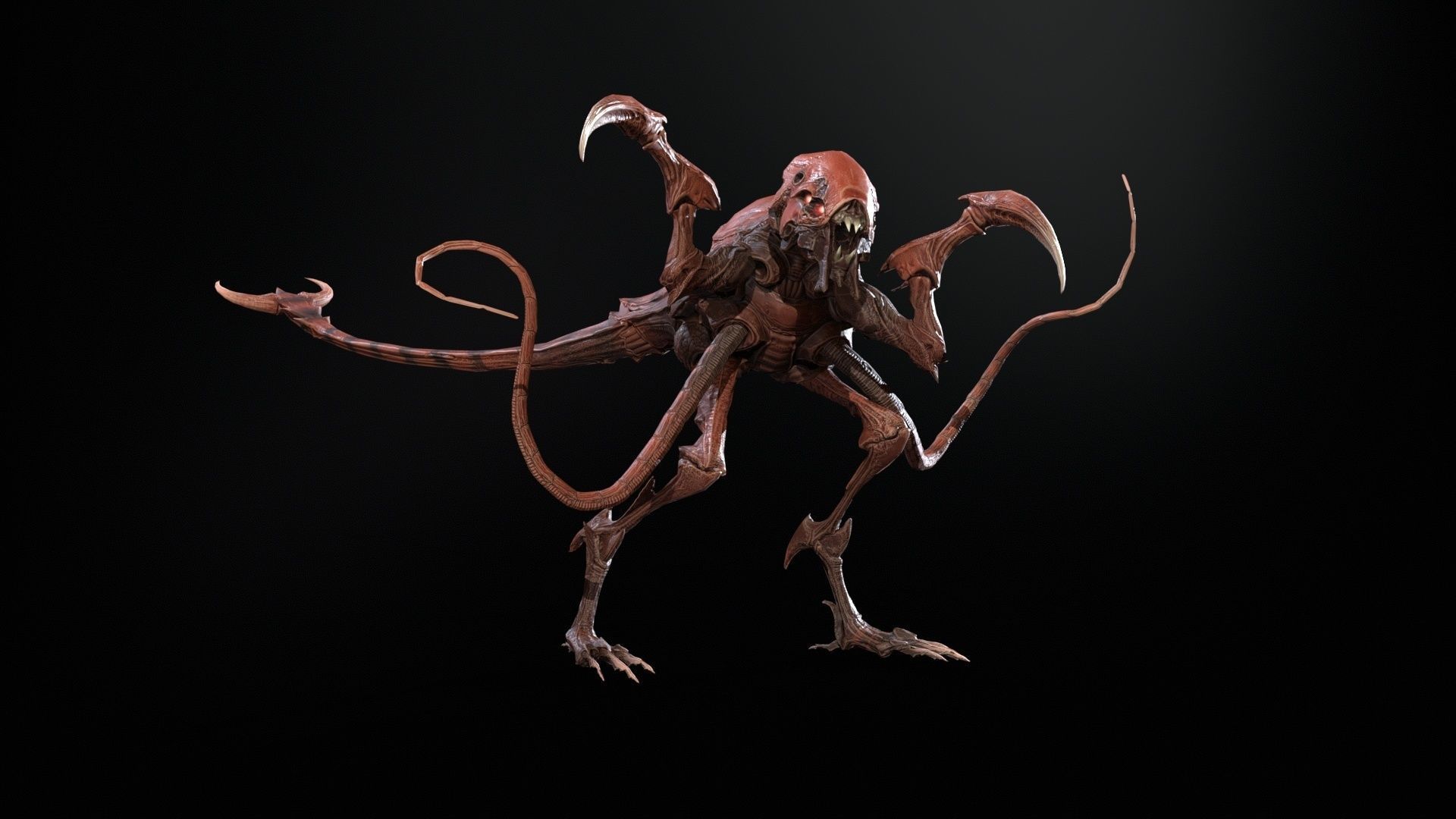 Raptor Low-poly 3D model_14