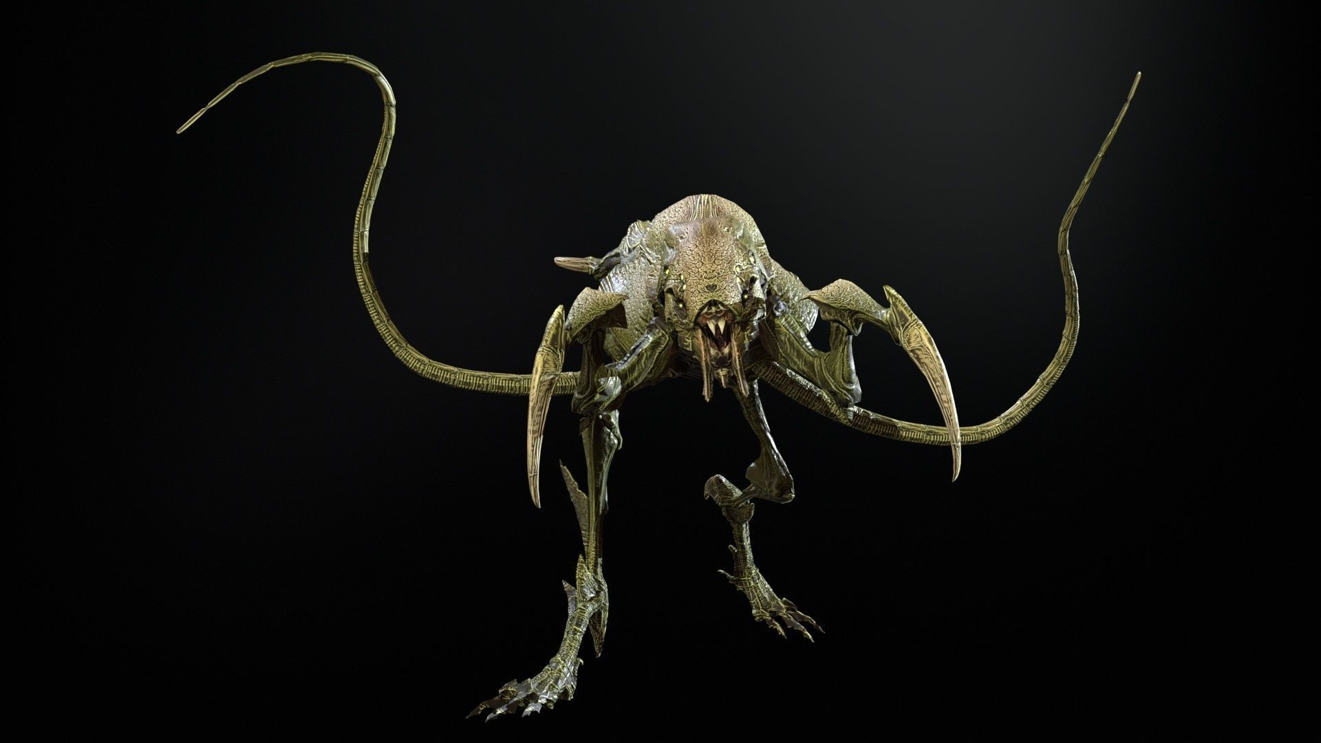 Raptor Low-poly 3D model_22