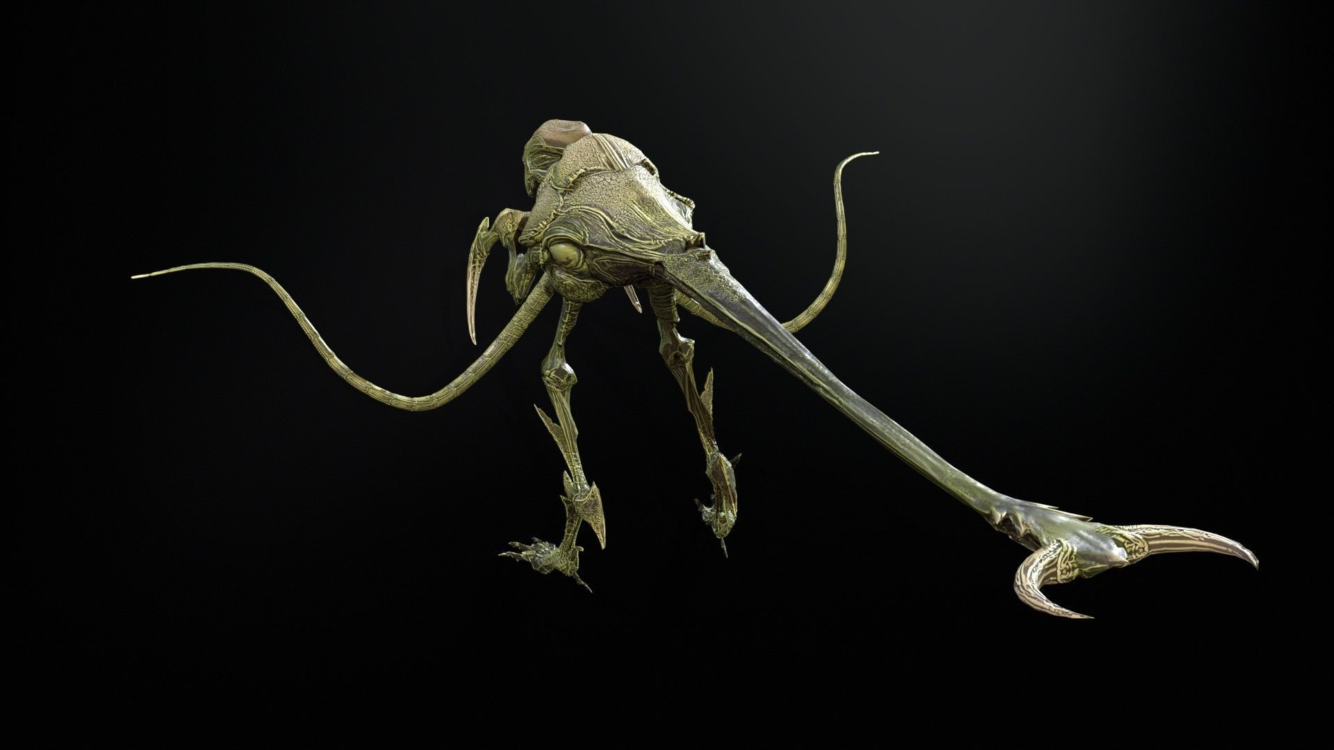 Raptor Low-poly 3D model_8