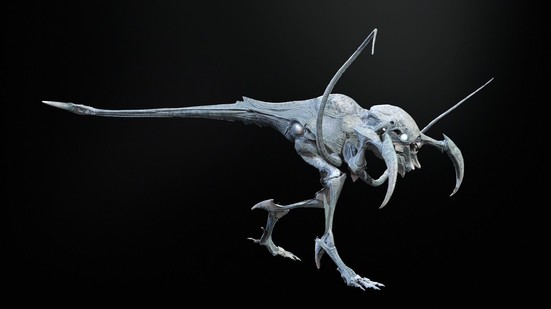 Raptor Low-poly 3D model_23