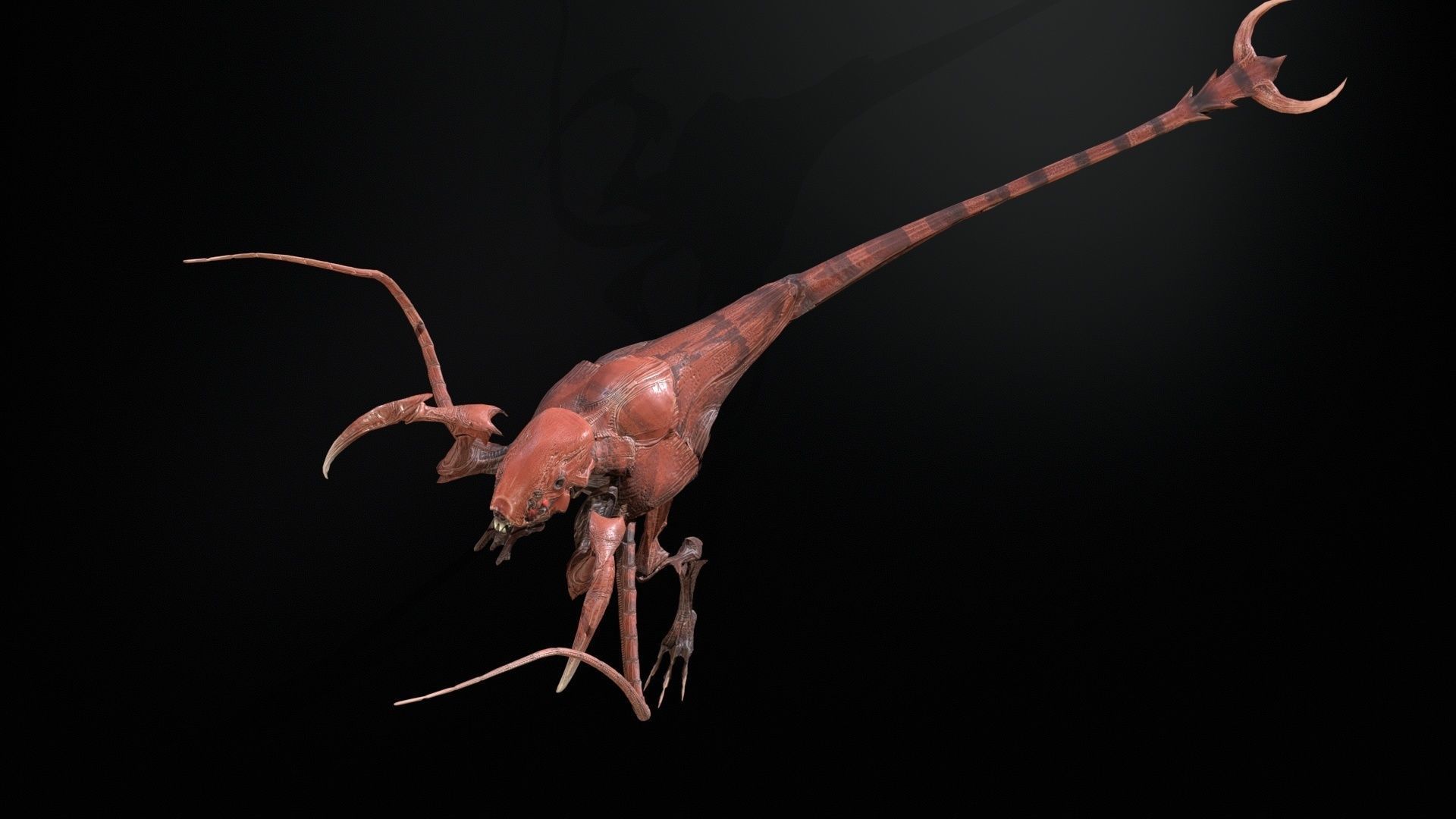 Raptor Low-poly 3D model_16