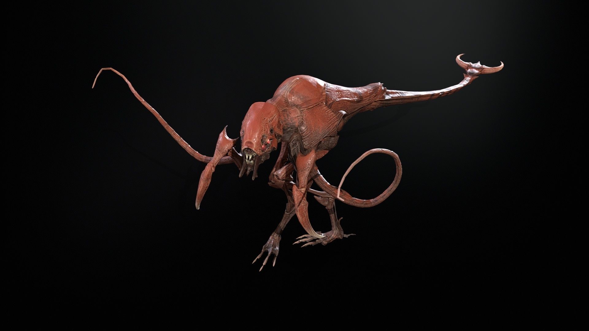 Raptor Low-poly 3D model_17