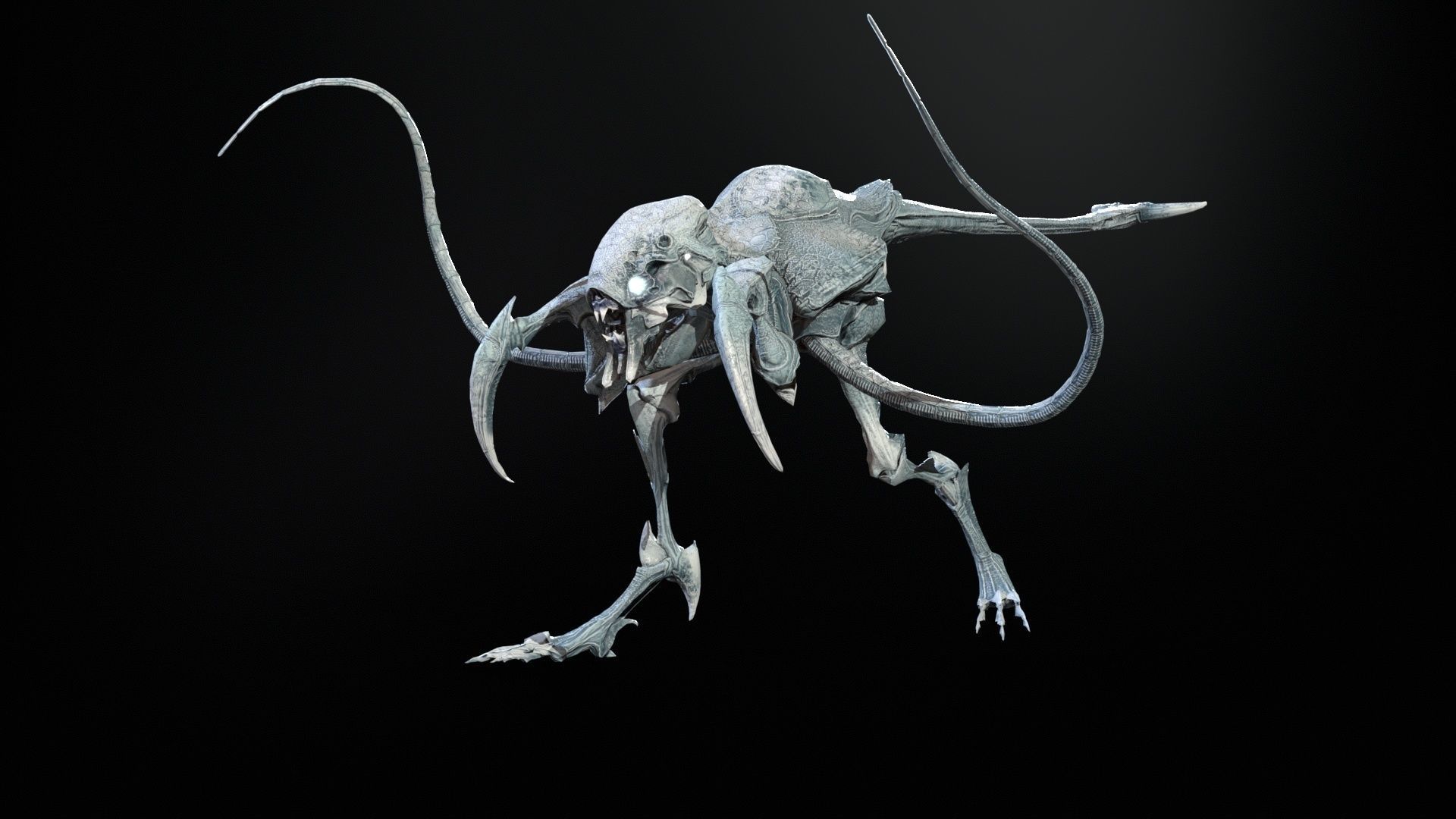 Raptor Low-poly 3D model_27