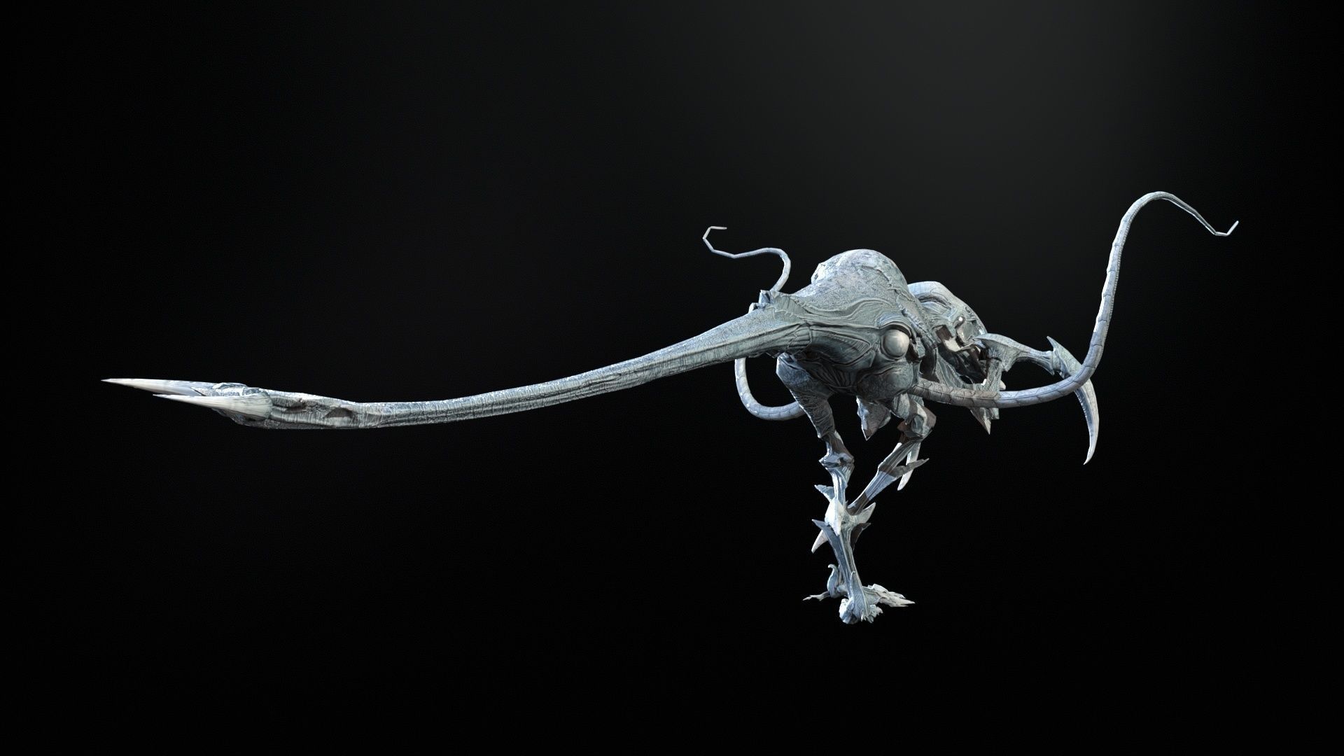 Raptor Low-poly 3D model_25