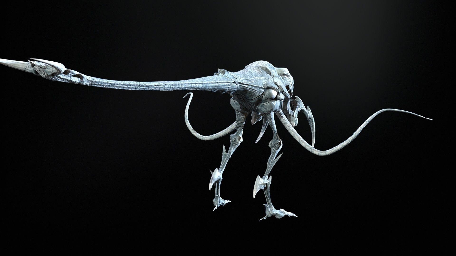 Raptor Low-poly 3D model_13