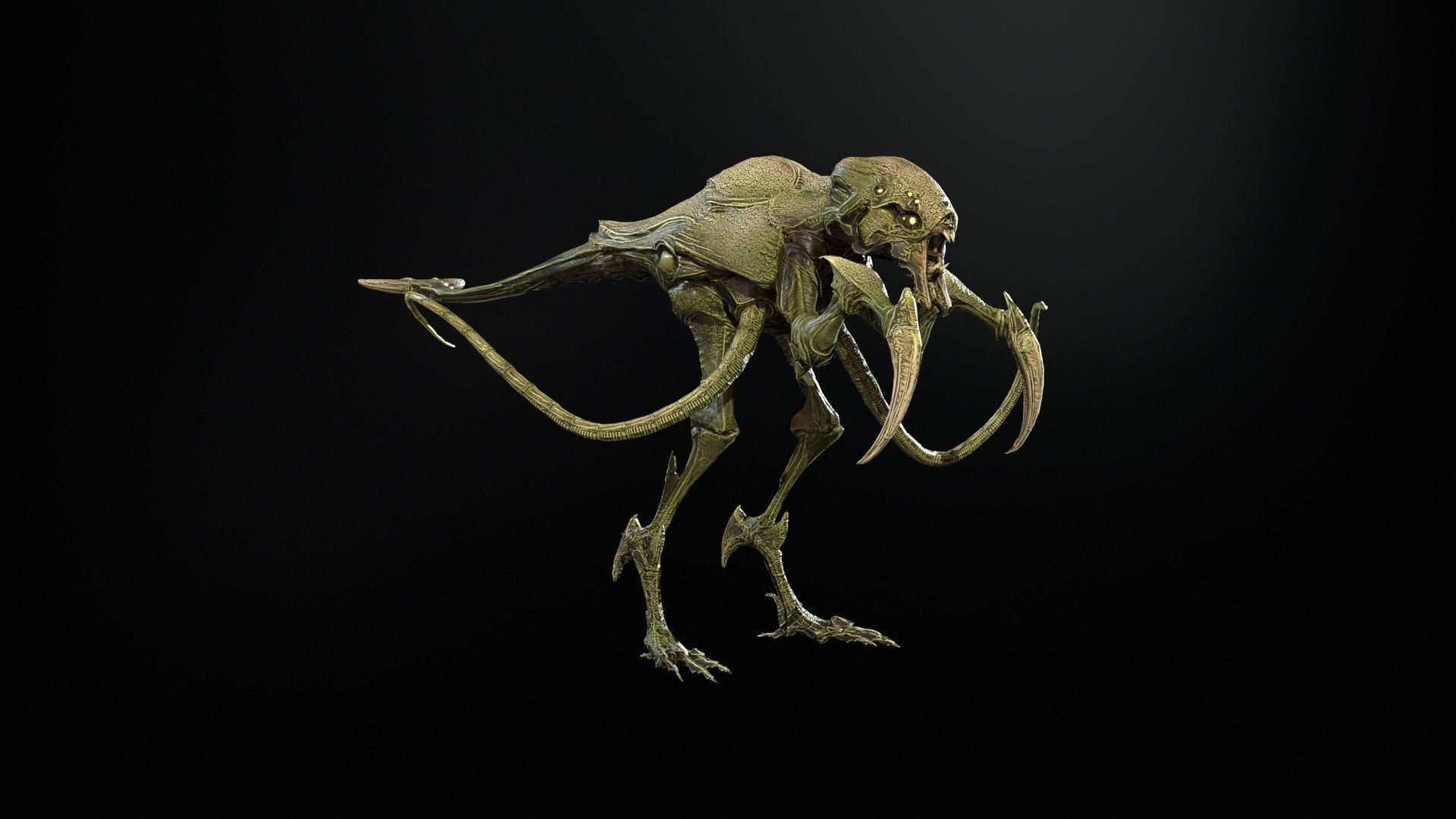 Raptor Low-poly 3D model_18