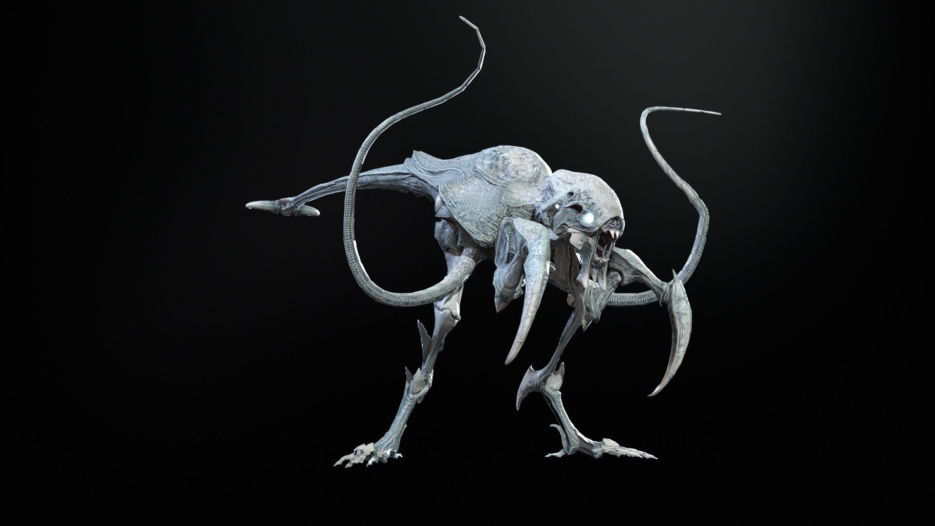 Raptor Low-poly 3D model_24