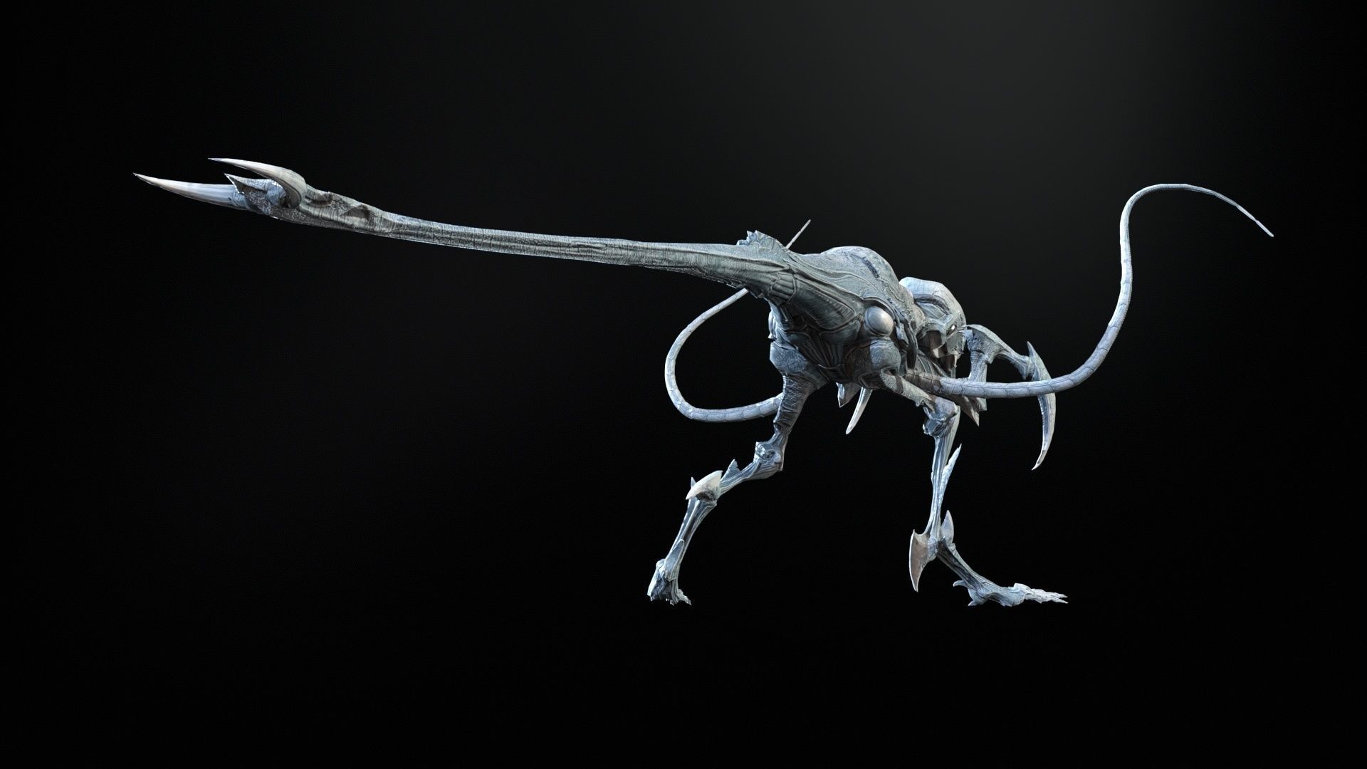 Raptor Low-poly 3D model_26