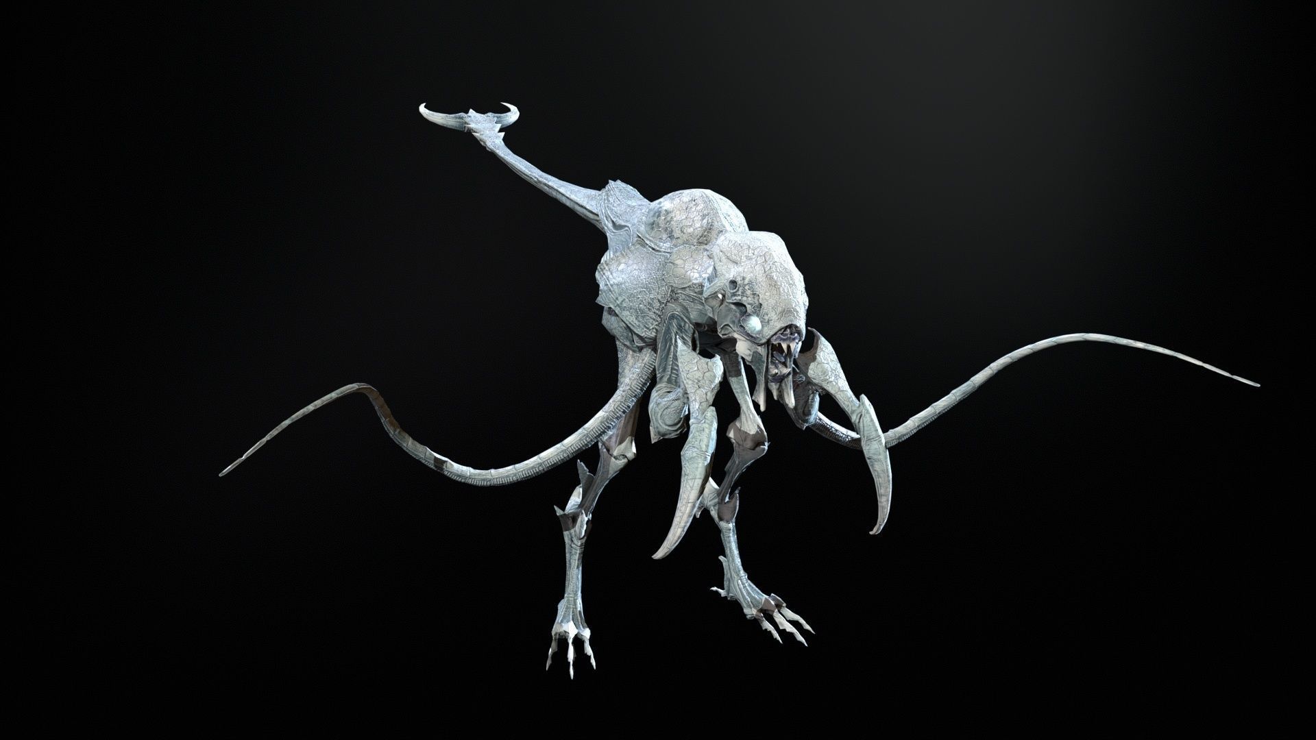 Raptor Low-poly 3D model_12