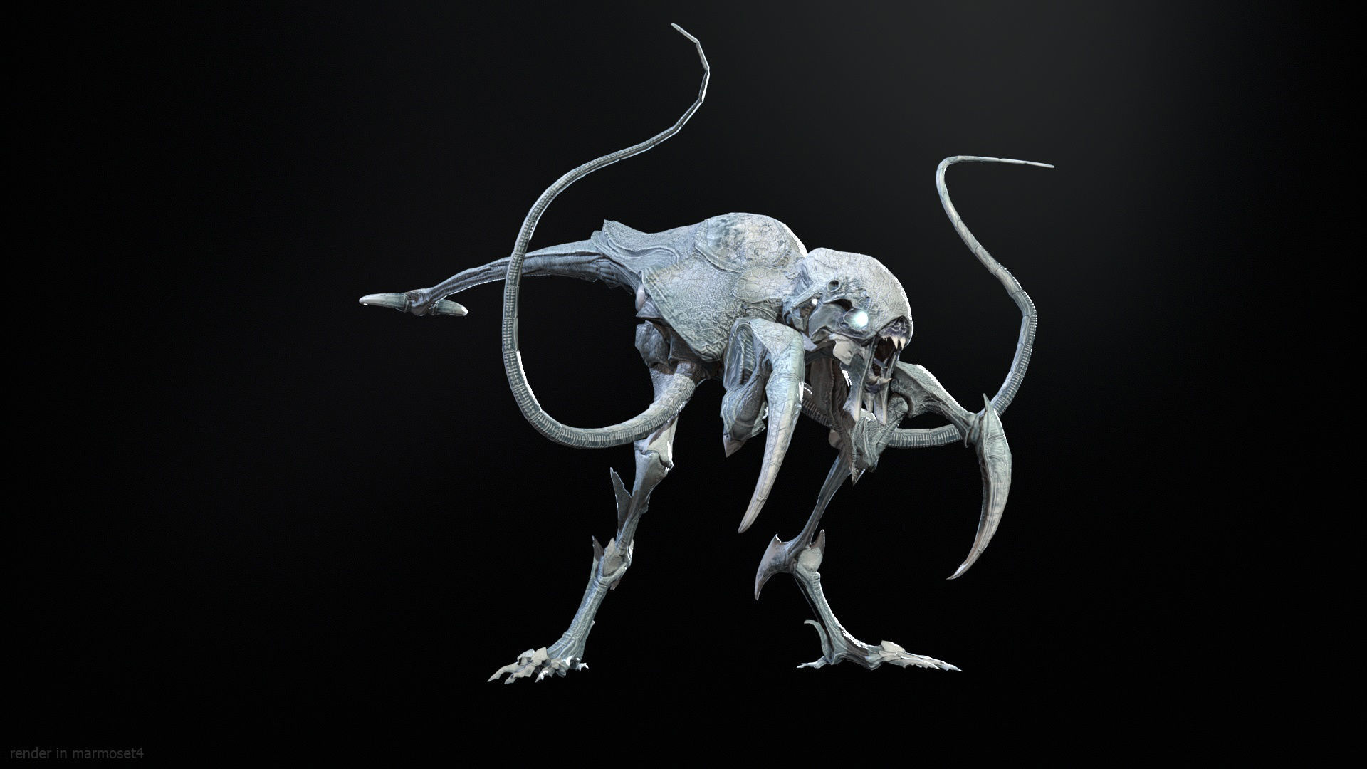 Raptor Low-poly 3D model_4