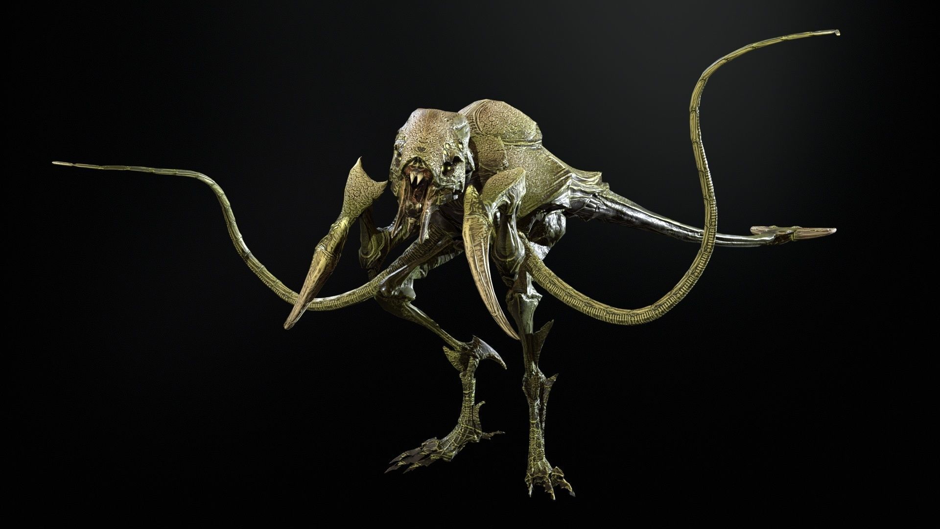 Raptor Low-poly 3D model_21