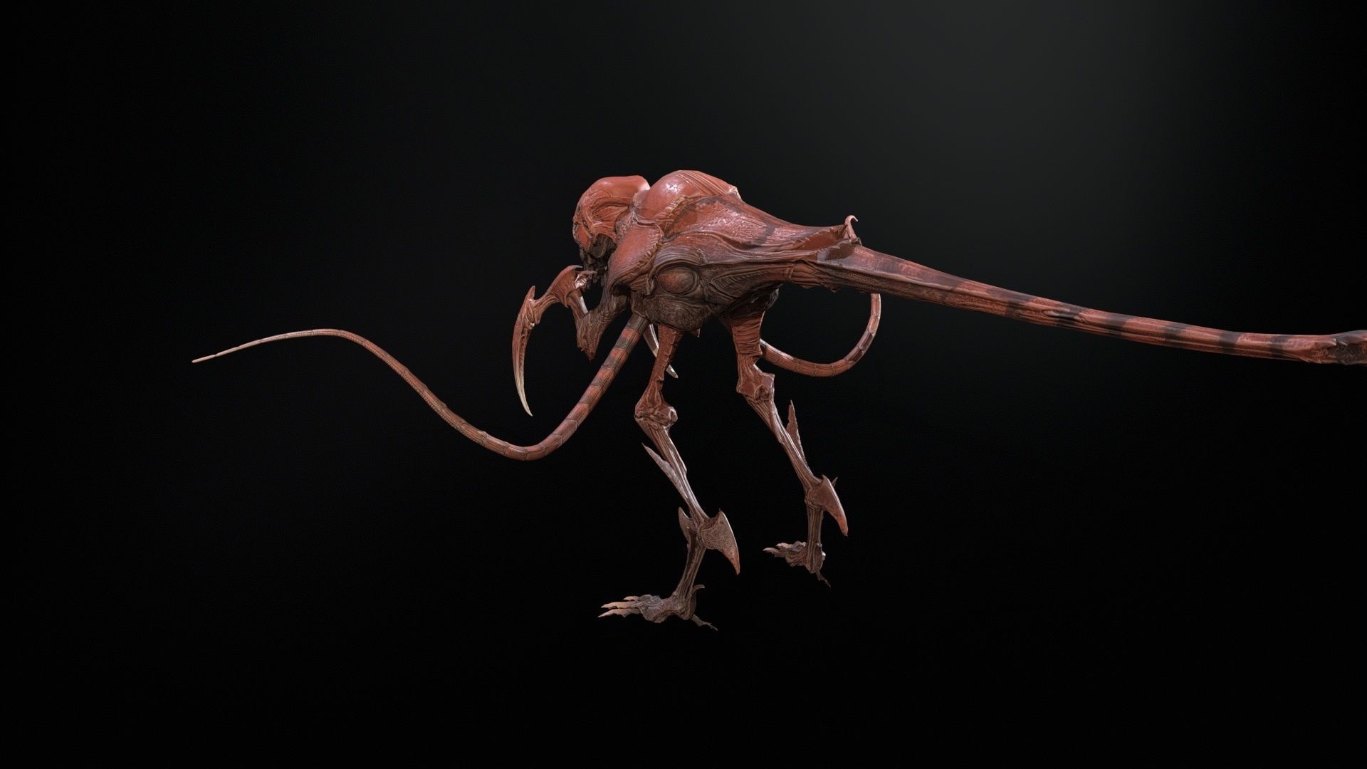 Raptor Low-poly 3D model_11