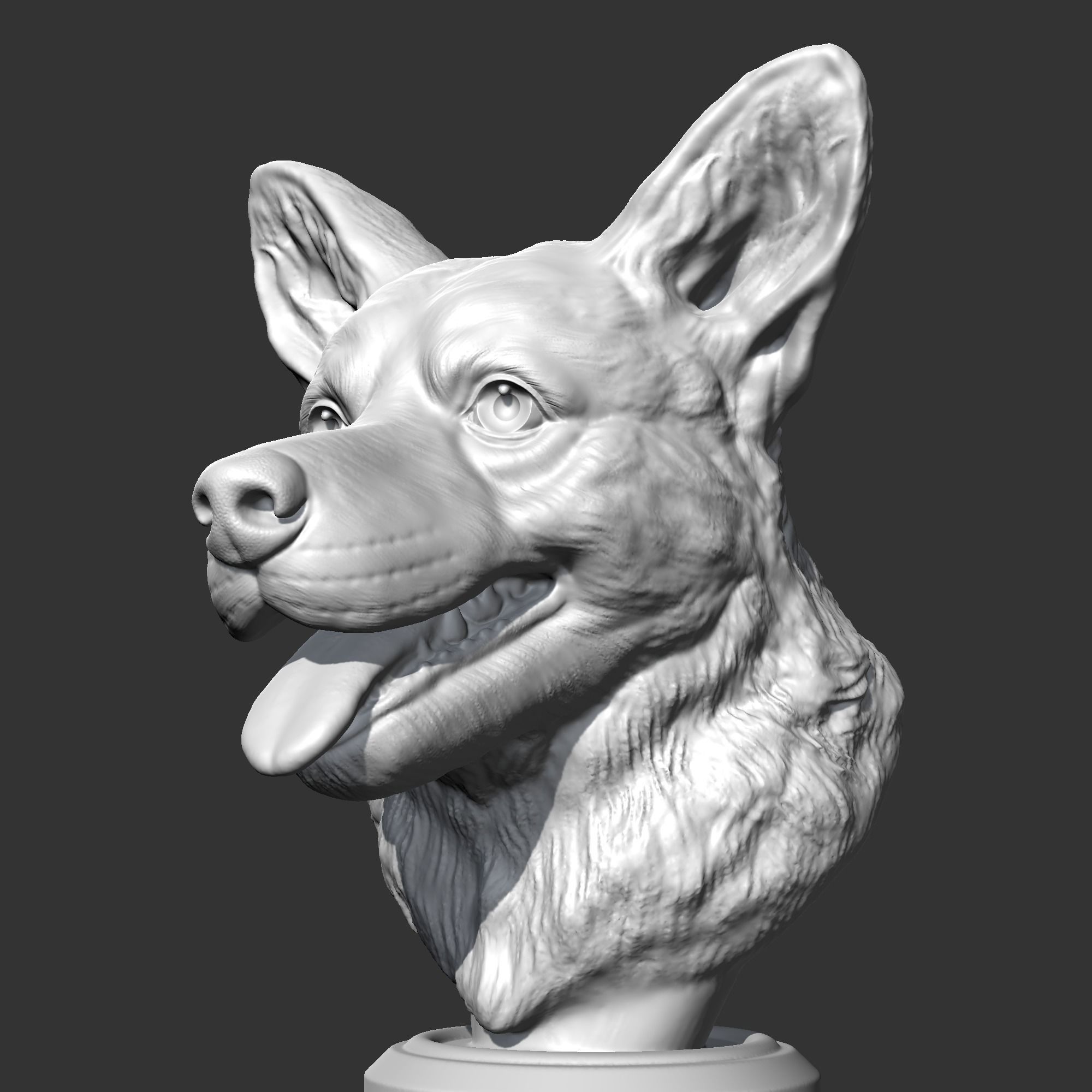 Welsh Corgi AM15 3D print model 3D print model_3