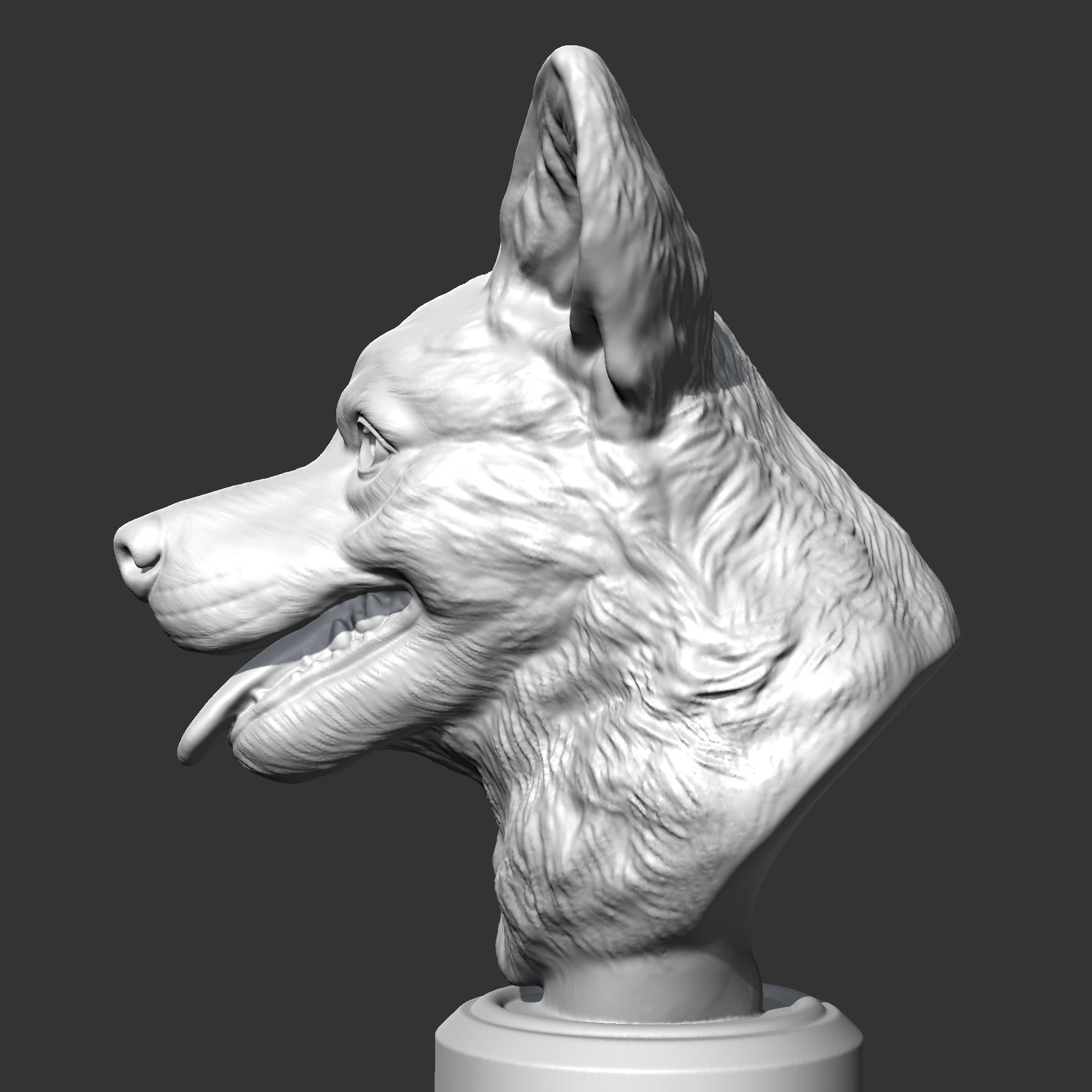 Welsh Corgi AM15 3D print model 3D print model_5