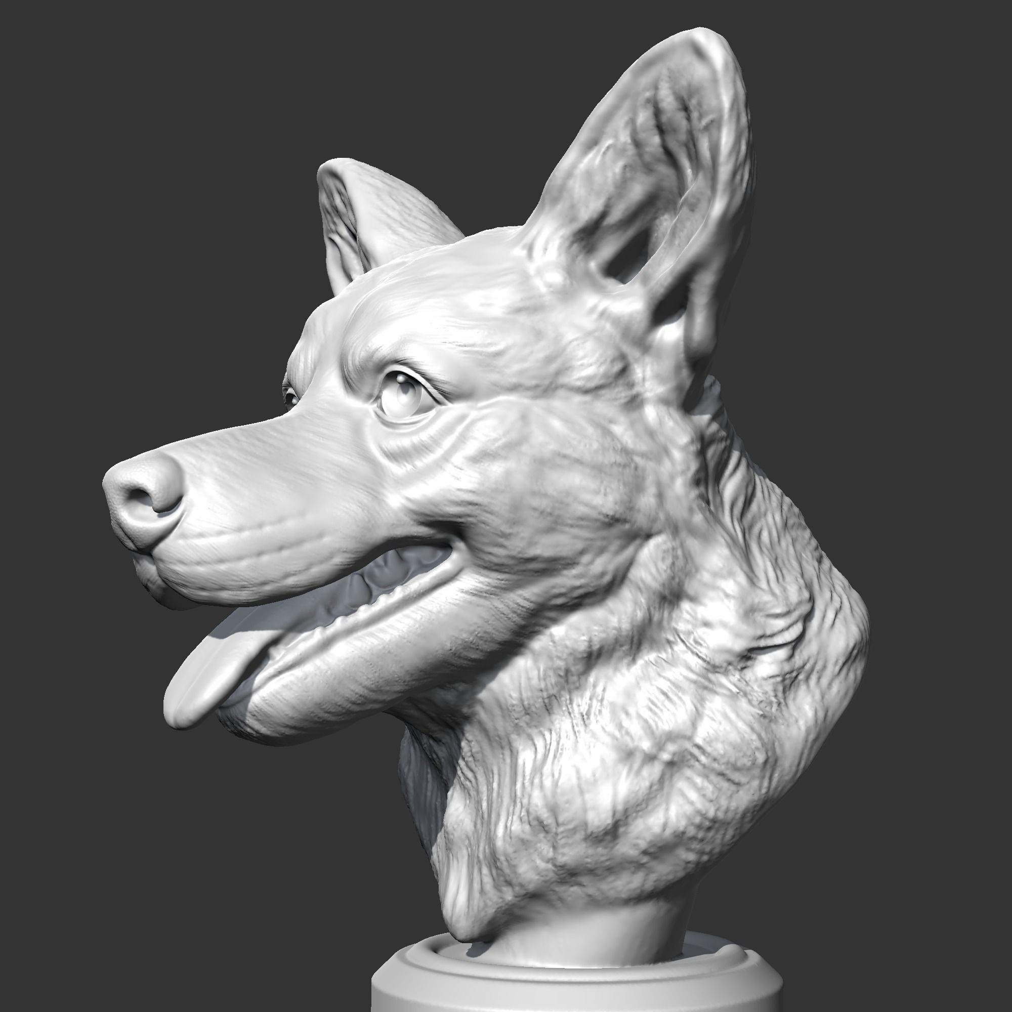 Welsh Corgi AM15 3D print model 3D print model_4