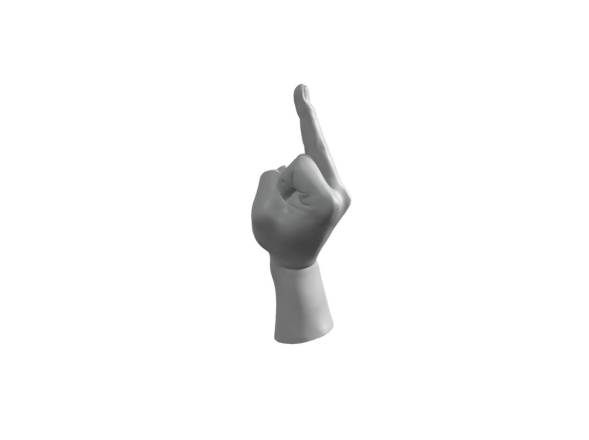 Hand Fuck 3D print model_1