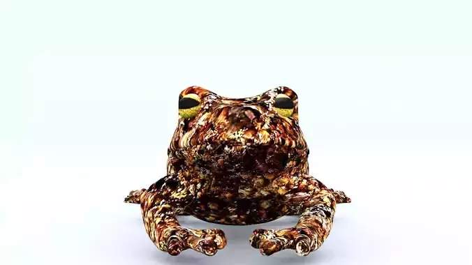 laos Frog