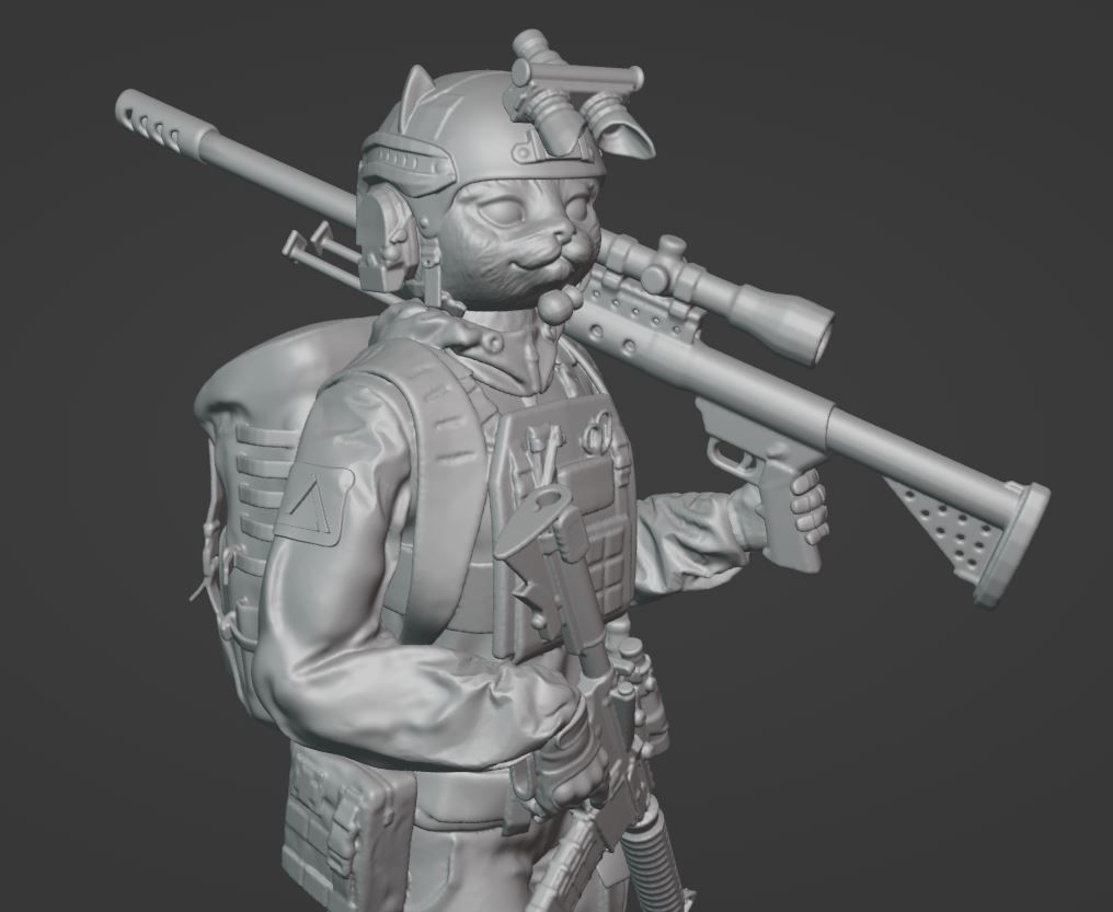 Cat girl sniper ukrainian modern warrior ready to print 3D print model_1