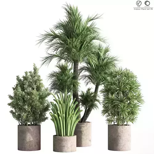 Indoor Plant Set 78