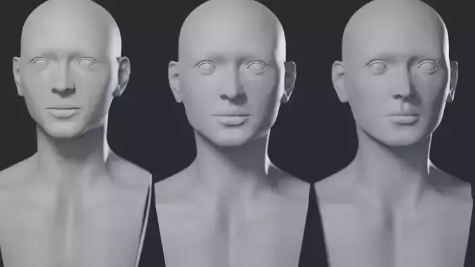 Female Head 3D model