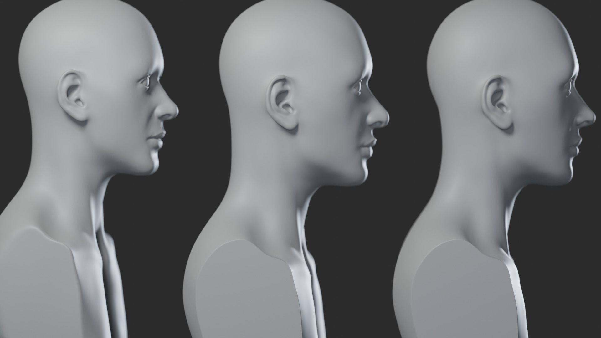 Female Head 3D model_3
