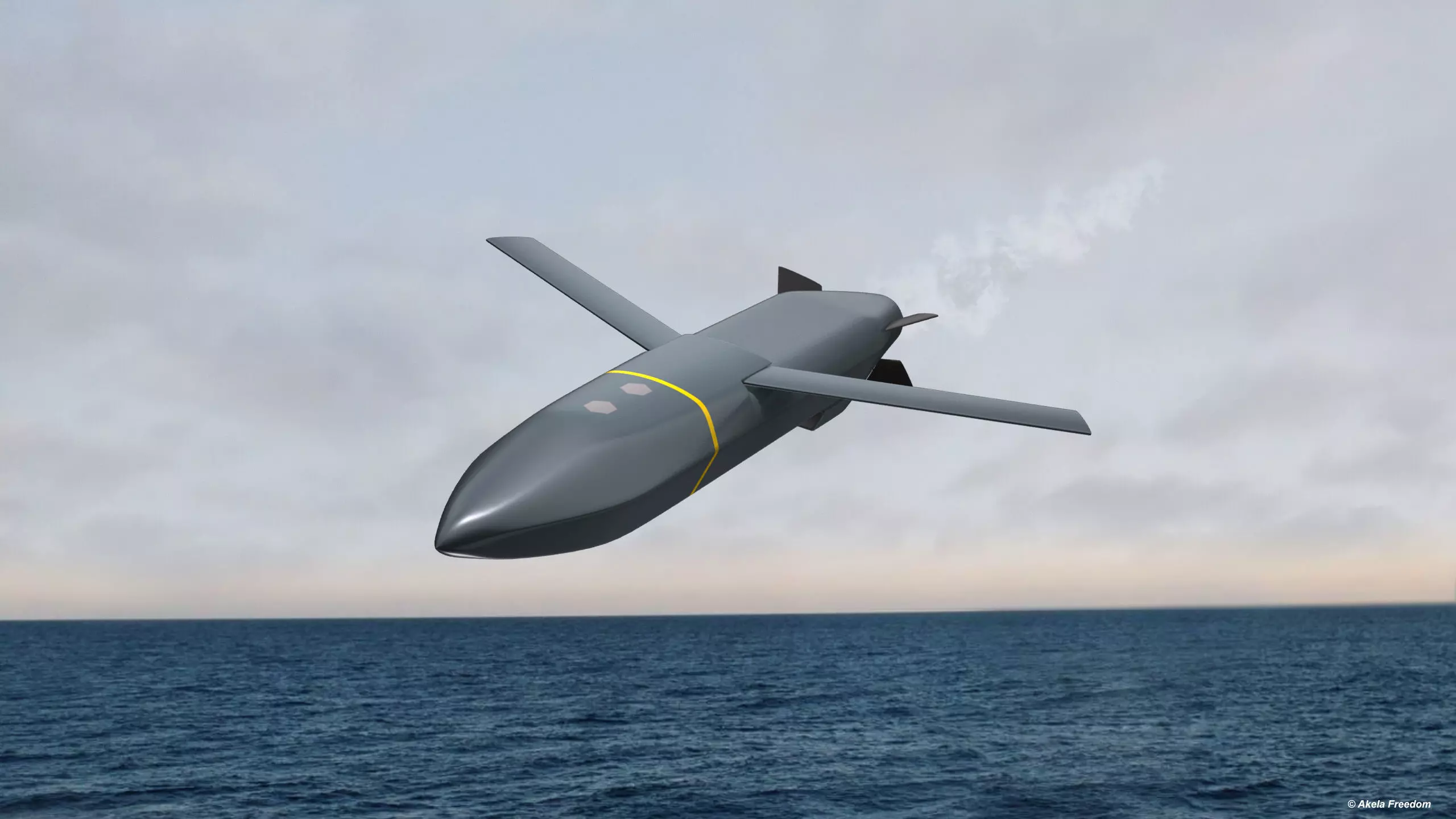 Type 12 Surface-to-Ship Missile 3D model_0