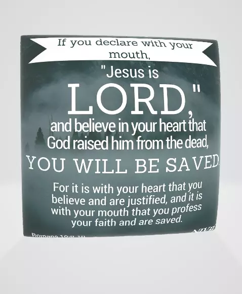 How to be Saved Pillow Free 3D model