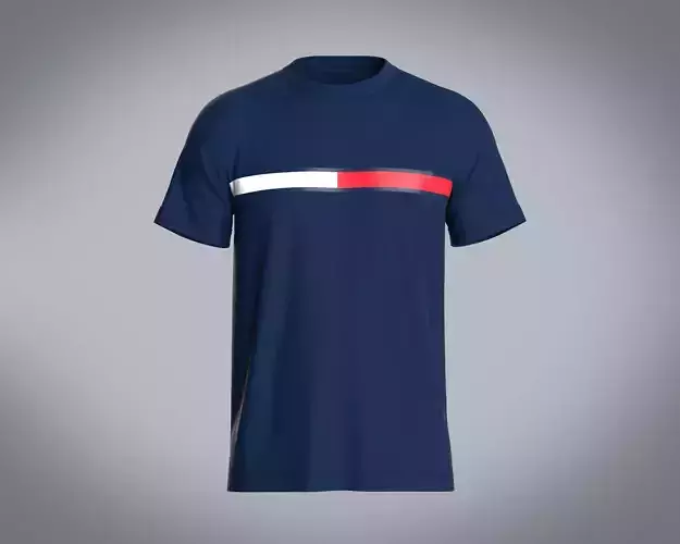 Tommy Hilfiger Blue T-Shirt