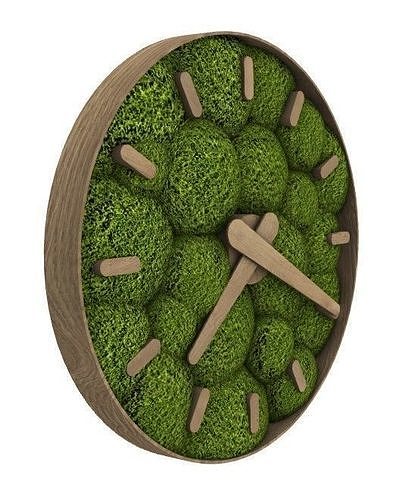 moss clock Free 3D model