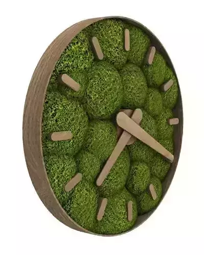moss clock
